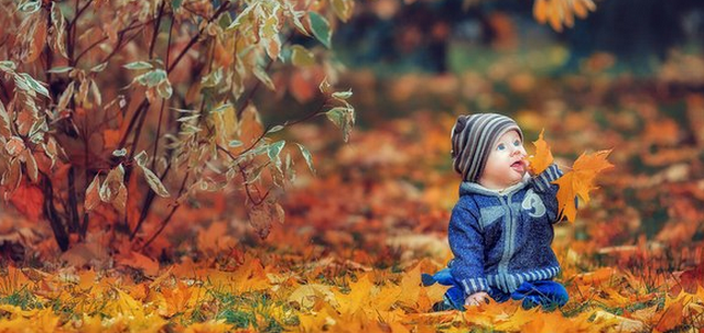 Александра Сёмочкина - Урок по теплой осенней обра_0.png